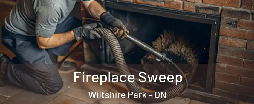  Fireplace Sweep Wiltshire Park - ON