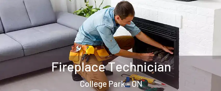  Fireplace Technician College Park - ON