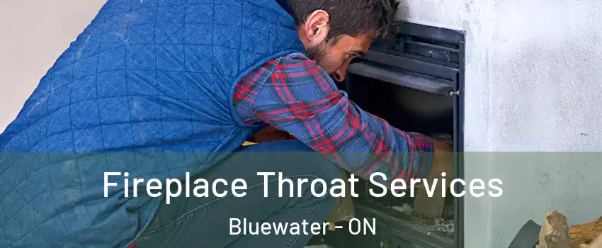  Fireplace Throat Services Bluewater - ON