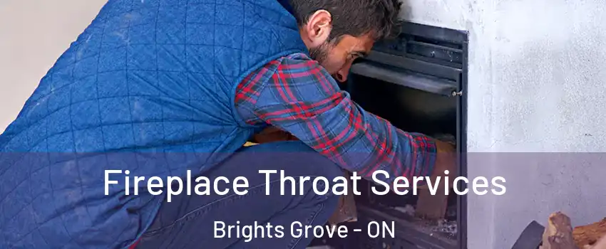 Fireplace Throat Services Brights Grove - ON