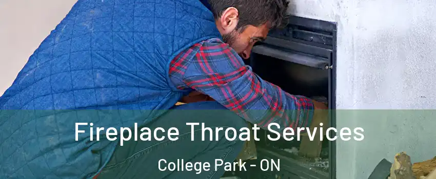  Fireplace Throat Services College Park - ON