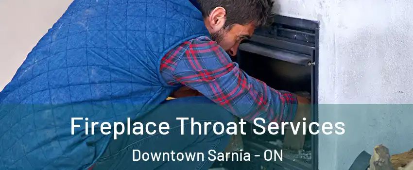  Fireplace Throat Services Downtown Sarnia - ON