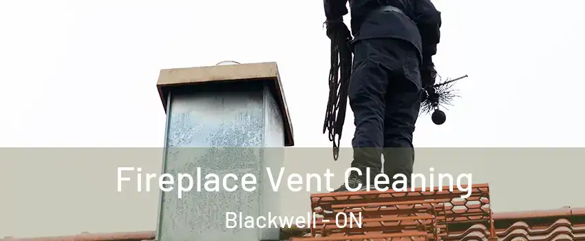  Fireplace Vent Cleaning Blackwell - ON