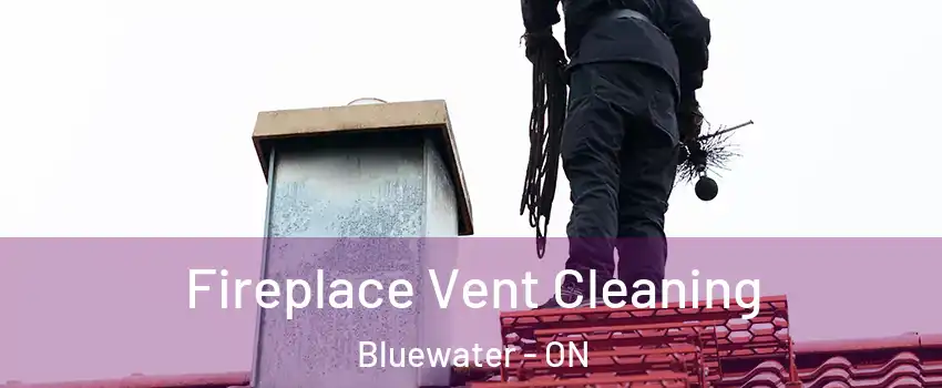  Fireplace Vent Cleaning Bluewater - ON