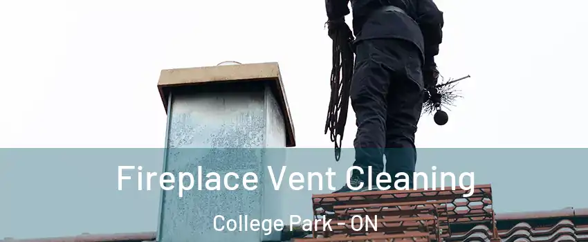  Fireplace Vent Cleaning College Park - ON