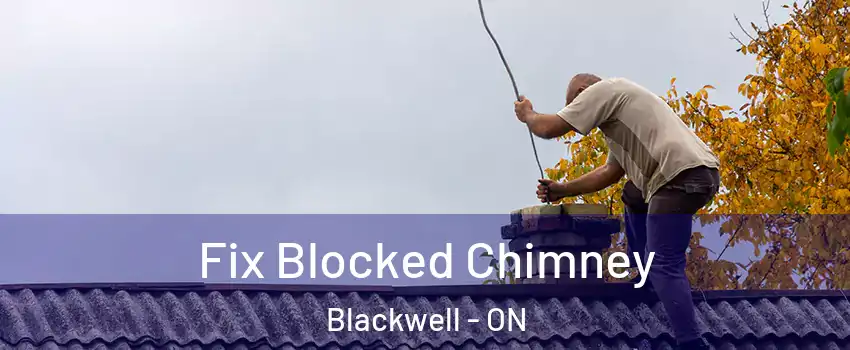  Fix Blocked Chimney Blackwell - ON