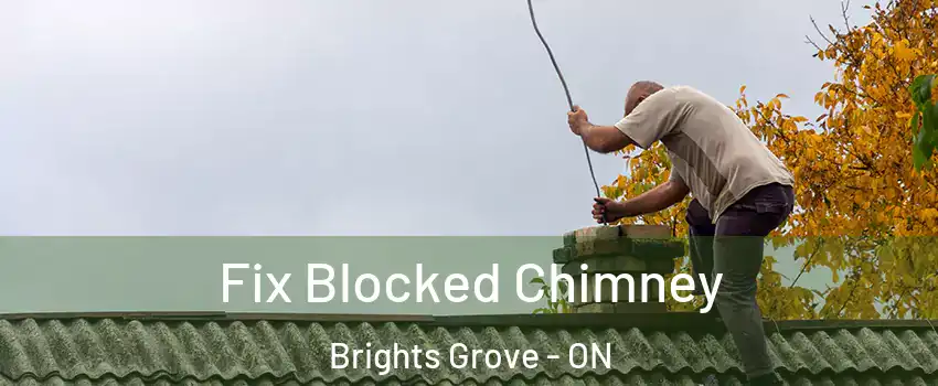  Fix Blocked Chimney Brights Grove - ON