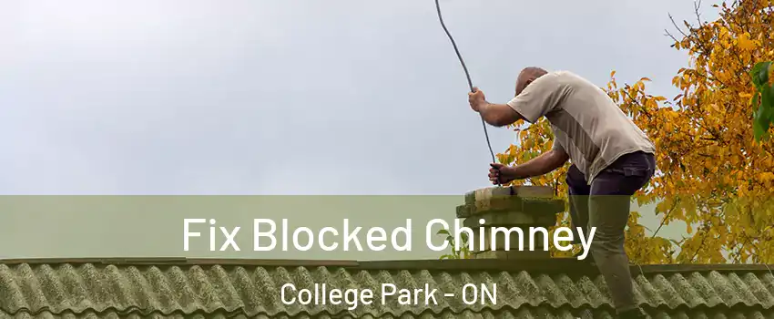  Fix Blocked Chimney College Park - ON