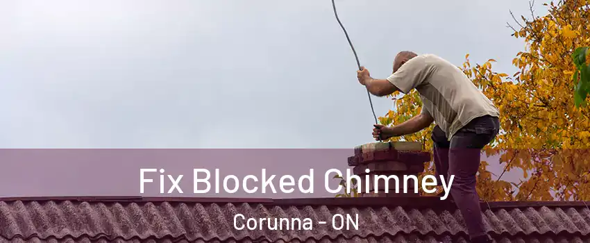  Fix Blocked Chimney Corunna - ON