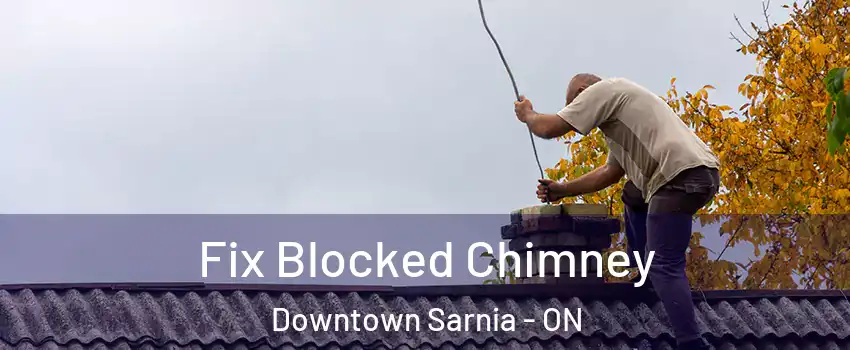  Fix Blocked Chimney Downtown Sarnia - ON