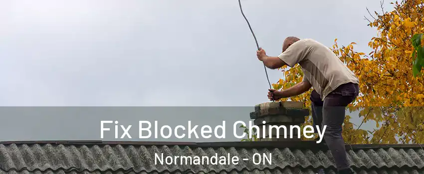 Fix Blocked Chimney Normandale - ON