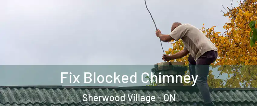  Fix Blocked Chimney Sherwood Village - ON