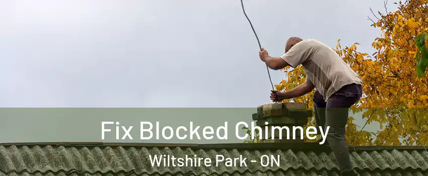  Fix Blocked Chimney Wiltshire Park - ON