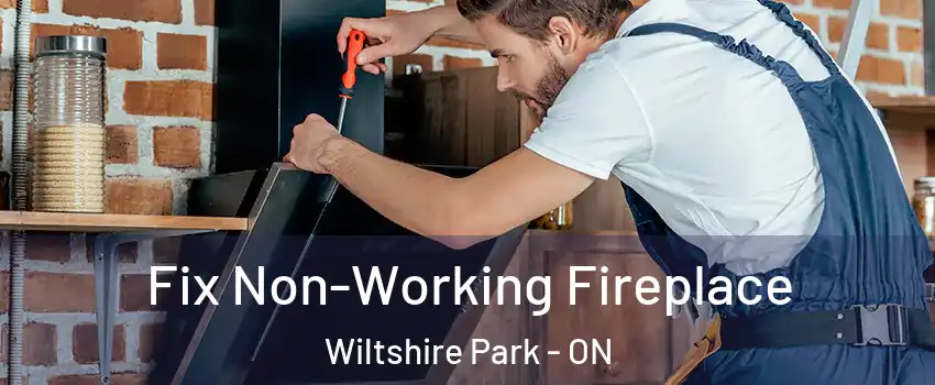  Fix Non-Working Fireplace Wiltshire Park - ON