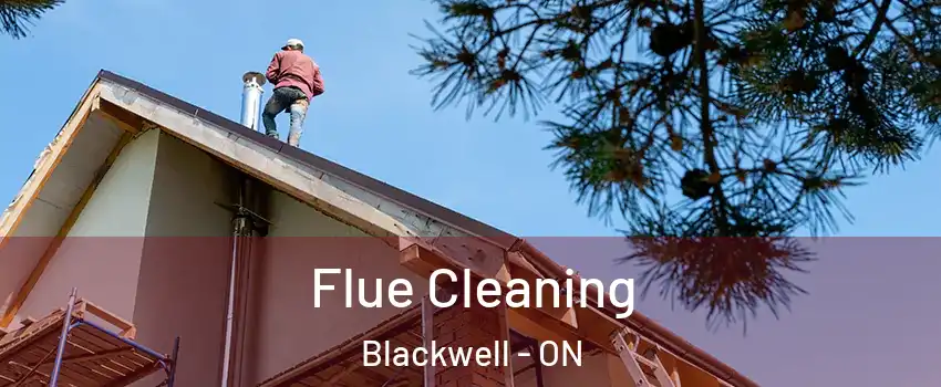  Flue Cleaning Blackwell - ON