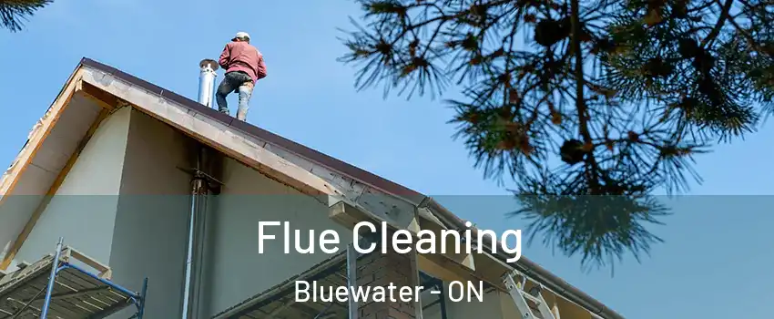  Flue Cleaning Bluewater - ON