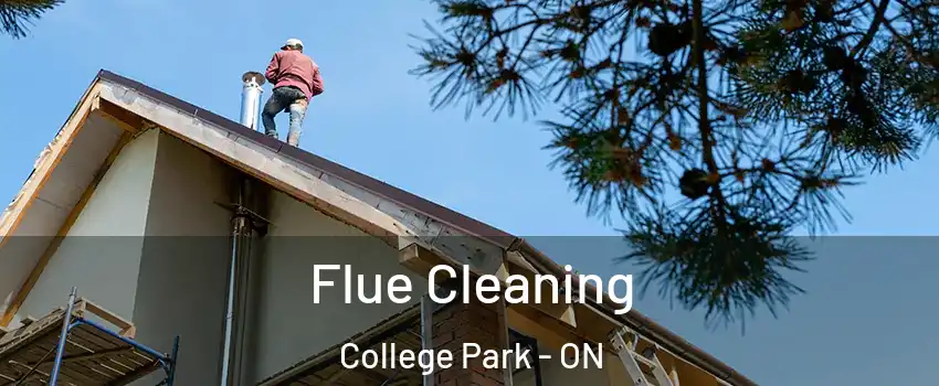  Flue Cleaning College Park - ON