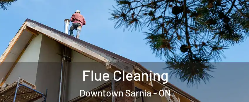  Flue Cleaning Downtown Sarnia - ON