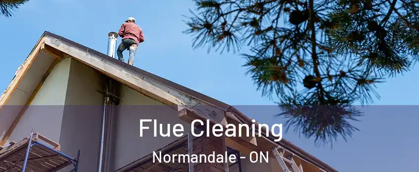  Flue Cleaning Normandale - ON