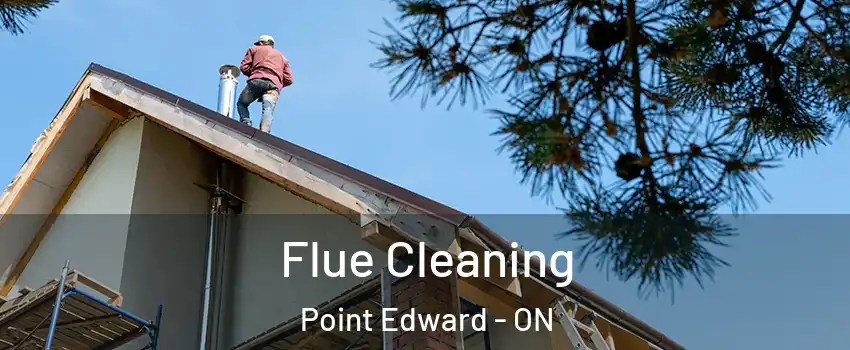  Flue Cleaning Point Edward - ON