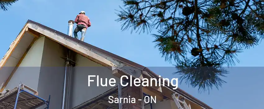  Flue Cleaning Sarnia - ON