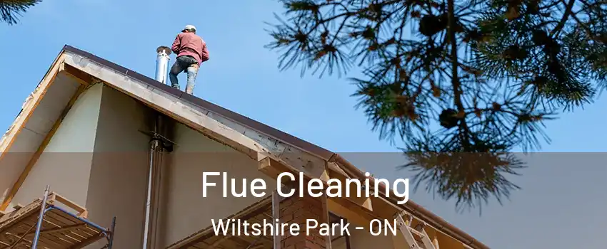  Flue Cleaning Wiltshire Park - ON