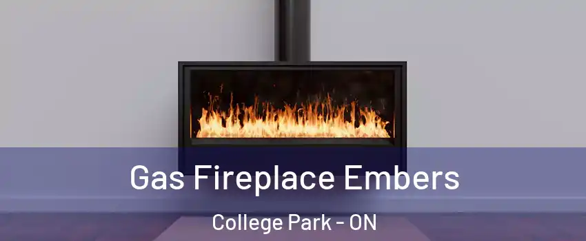  Gas Fireplace Embers College Park - ON