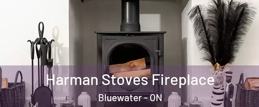  Harman Stoves Fireplace Bluewater - ON