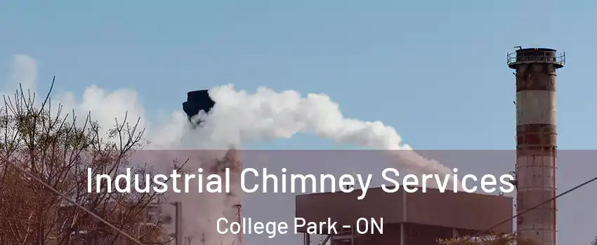 Industrial Chimney Services College Park - ON