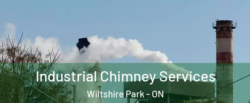  Industrial Chimney Services Wiltshire Park - ON