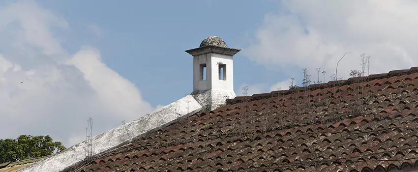 Wind-Resistant Chimney Caps Installation and Repair Services in Point Edward, Quebec