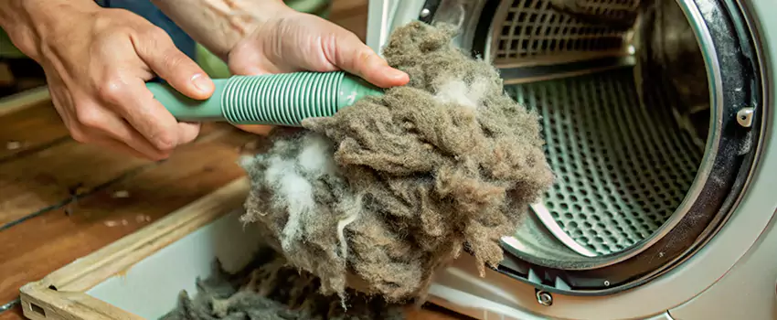 Best Dryer Lint Removal Company in Point Edward, Quebec