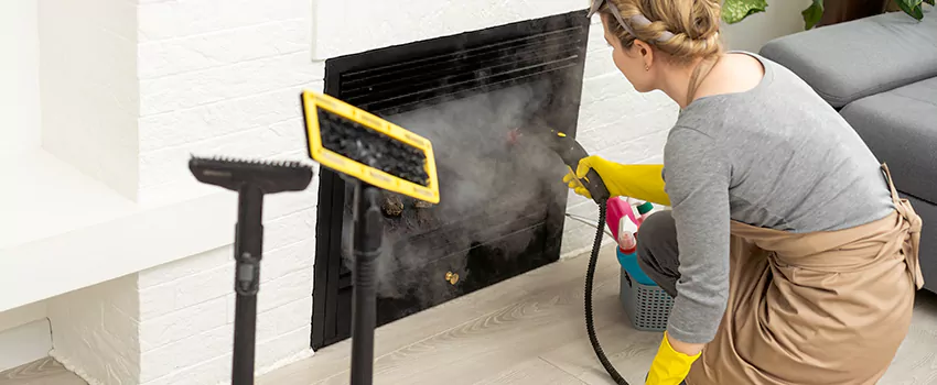 Fireplace Doors Cleaning in Point Edward, Quebec