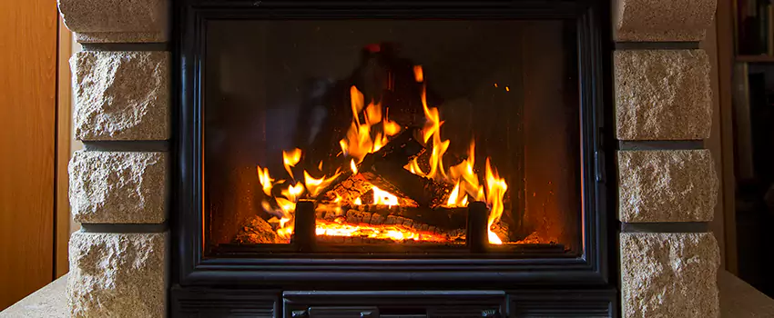 Fireplace Design Ideas in Point Edward, ON