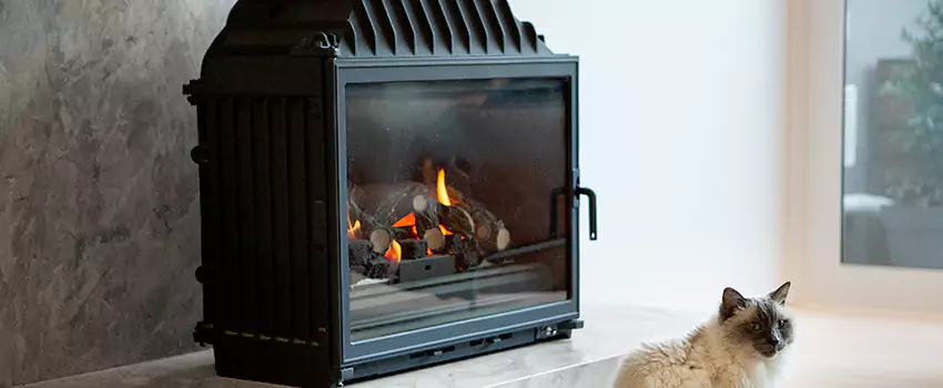 Fireplace Damaged Damper Frame Repair Services in Point Edward, Quebec
