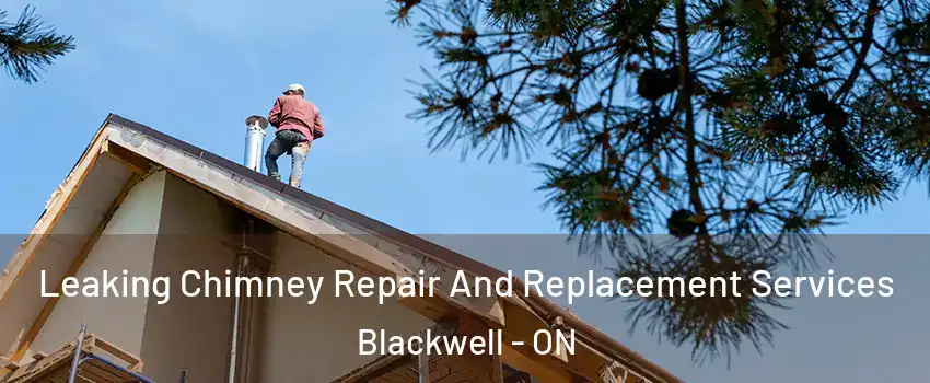  Leaking Chimney Repair And Replacement Services Blackwell - ON