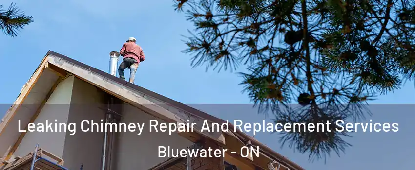  Leaking Chimney Repair And Replacement Services Bluewater - ON