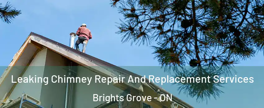  Leaking Chimney Repair And Replacement Services Brights Grove - ON