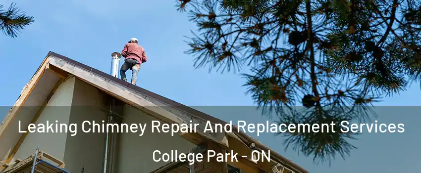  Leaking Chimney Repair And Replacement Services College Park - ON