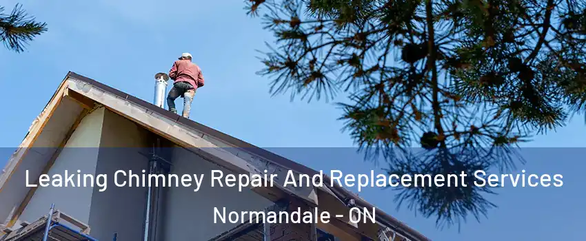  Leaking Chimney Repair And Replacement Services Normandale - ON