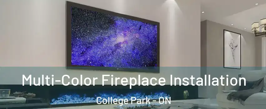  Multi-Color Fireplace Installation College Park - ON