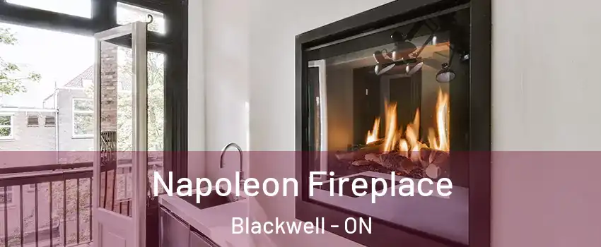  Napoleon Fireplace Blackwell - ON