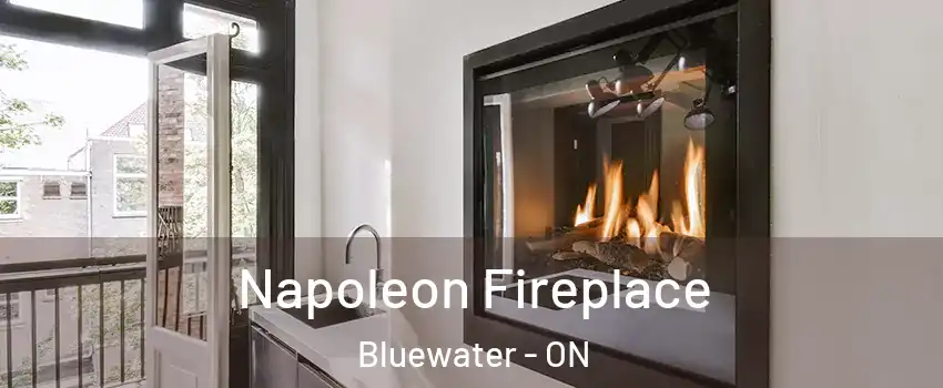  Napoleon Fireplace Bluewater - ON