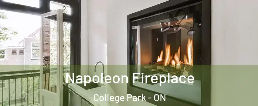  Napoleon Fireplace College Park - ON