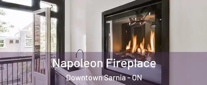 Napoleon Fireplace Downtown Sarnia - ON