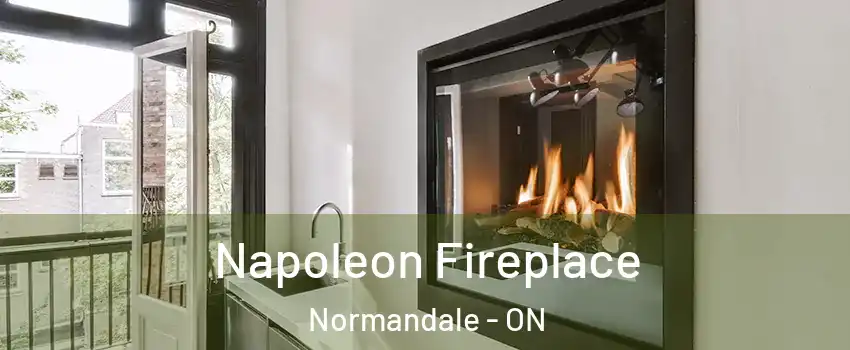  Napoleon Fireplace Normandale - ON