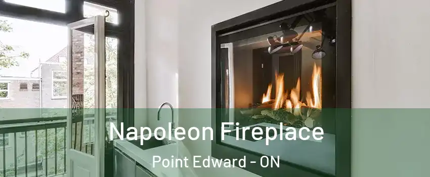  Napoleon Fireplace Point Edward - ON