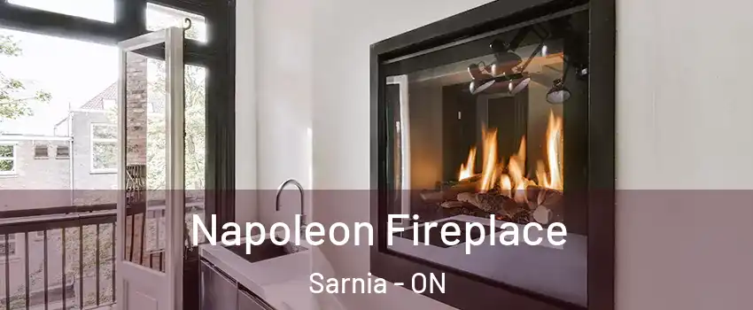  Napoleon Fireplace Sarnia - ON