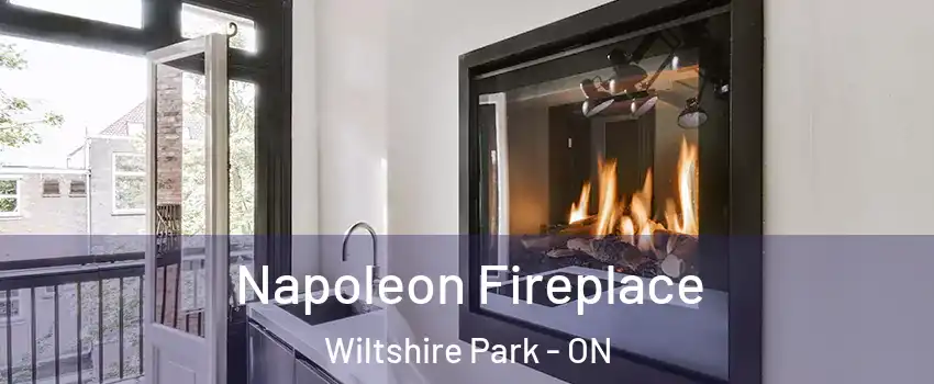  Napoleon Fireplace Wiltshire Park - ON