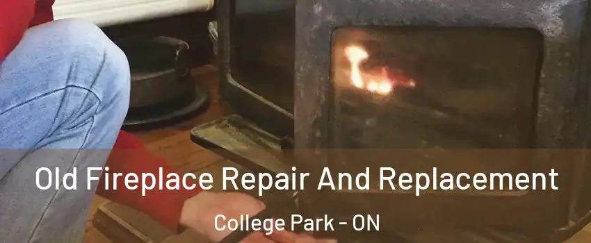  Old Fireplace Repair And Replacement College Park - ON